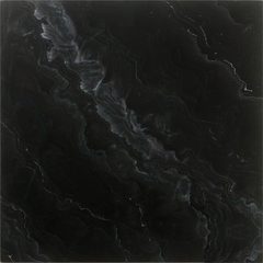黑珍珠