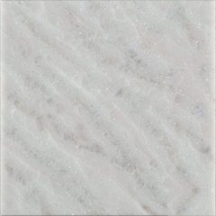拉薩白