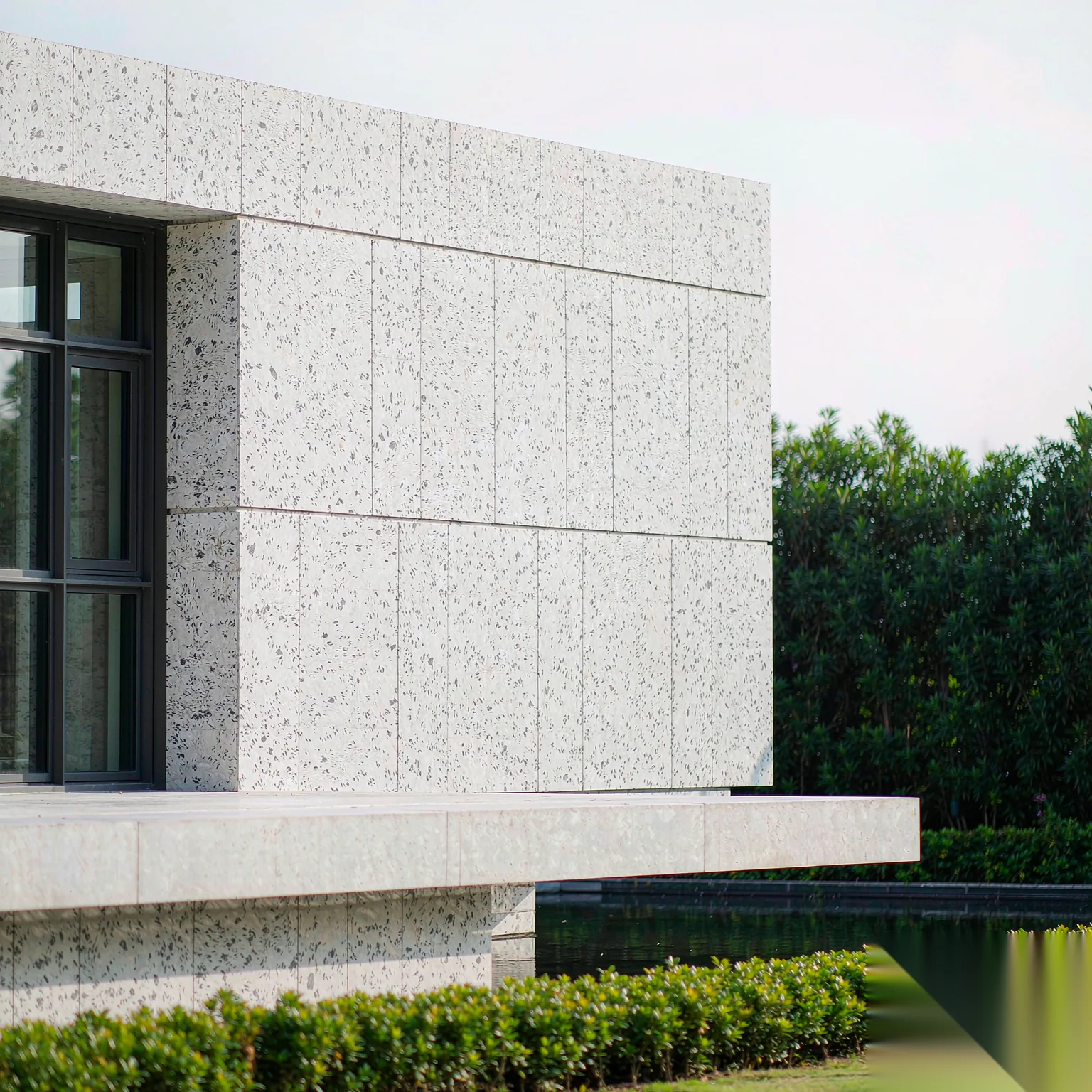 Shandong White — slab texture and application views