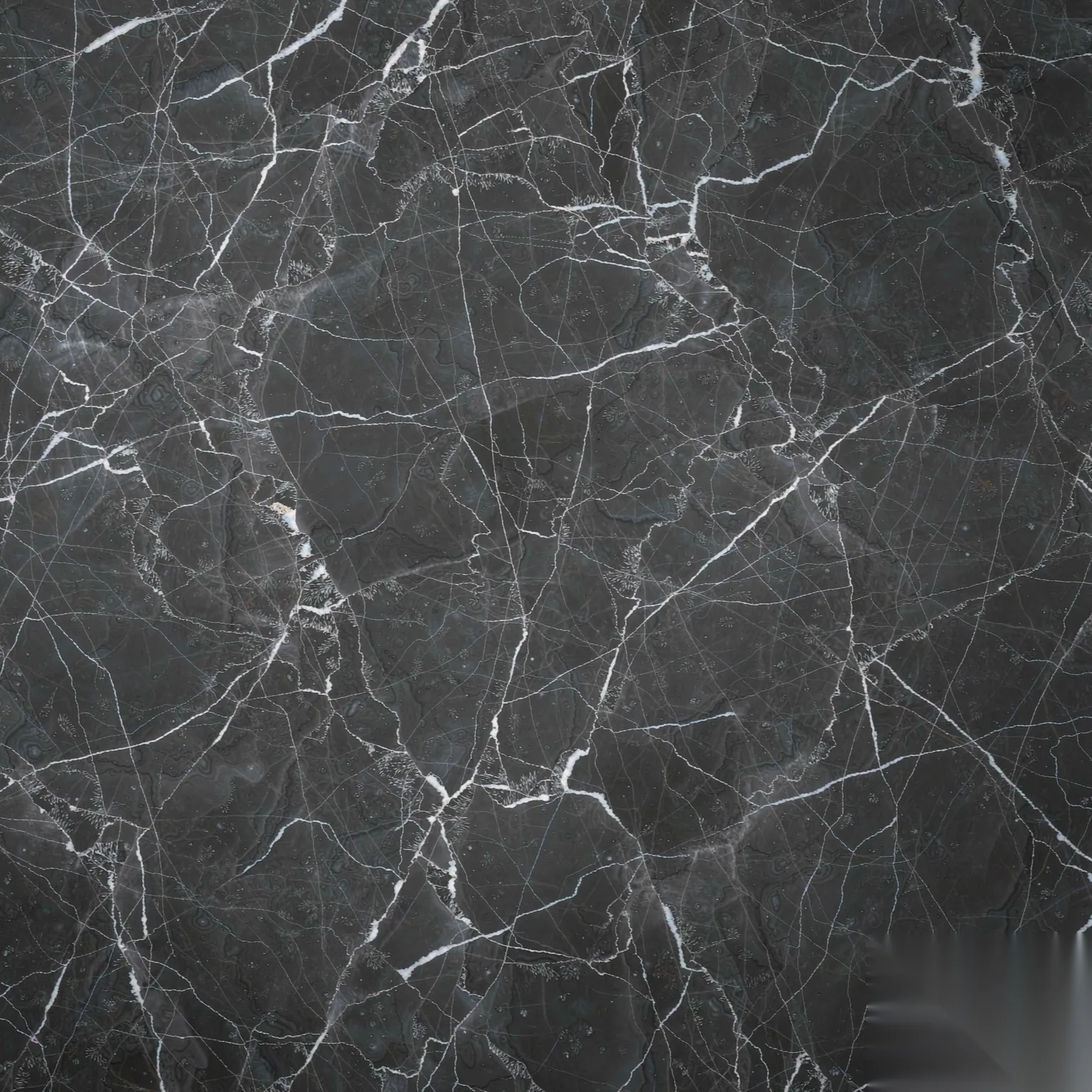 Windham Grey — Texture detail