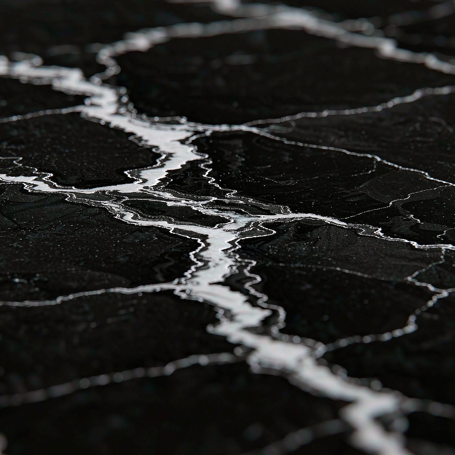 Close-up of the bold black-white contrast